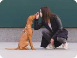 Une femme touchant affectueusement le museau de son chien